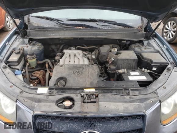 ✅ 2009 Hyundai Santa Fe GLS • VIN: 5NMSG13DX9H270665 • Lot: 50427764. Listed on Copart with 108,256 mi. Free auction sales archive from the USA and detailed vehicle history report at DreamBid. Image 12.