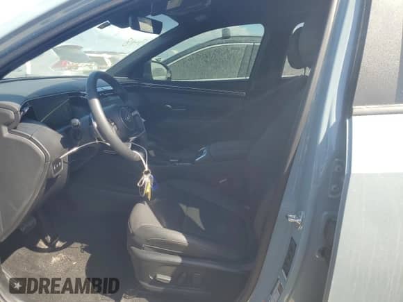 2024 Hyundai Santa Cruz XRT с VIN 5NTJDDDF9RH116121, выставлен на аукционе Copart как лот 76419174 с пробегом 1 843 миль миль и Списание • Salvage title. История ставок и продаж доступна на DreamBid. Изображение 7.