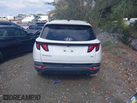 2024 Hyundai Tucson SEL с VIN 5NMJBCDE6RH300239, выставлен на аукционе IAAI как лот 43396705 с пробегом 70 780 миль миль и . История ставок и продаж доступна на DreamBid. Изображение 17.