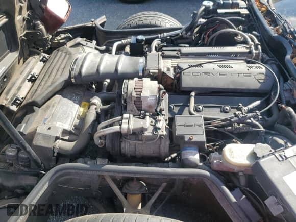 1993 Chevrolet Corvette with VIN 1G1YY23P4P5111687, listed as a Copart auction lot 82469265 with Not provided miles and Clean title. Bid and sale history available at DreamBid. Image 11.