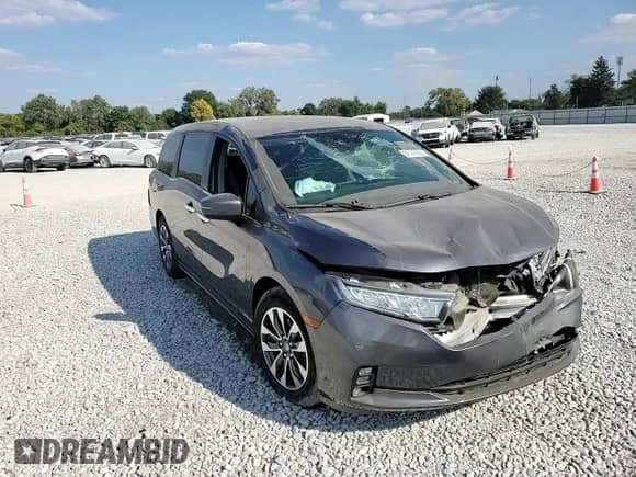 2022 Honda Odyssey EX-L with VIN 5FNRL6H79NB024258, listed as a Copart auction lot 80145555 with Not provided miles and Salvage title. Bid and sale history available at DreamBid. Image 14.