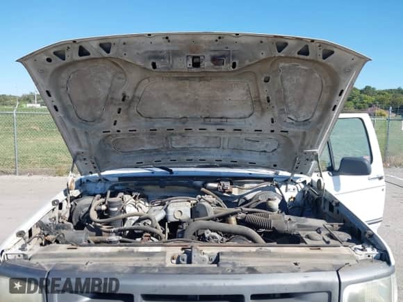 1995 Ford F-150 с VIN 1FPDF15Y8SLA31289, выставлен на аукционе IAAI как лот 43411279 с пробегом 213 242 миль миль и . История ставок и продаж доступна на DreamBid. Изображение 10.