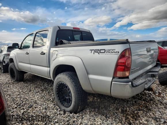 2005 Toyota Tacoma with VIN 5TELU42N55Z124449, listed as a Copart auction lot 81939745 with 241,173 mi miles and Salvage title. Bid and sale history available at DreamBid. Image 2.