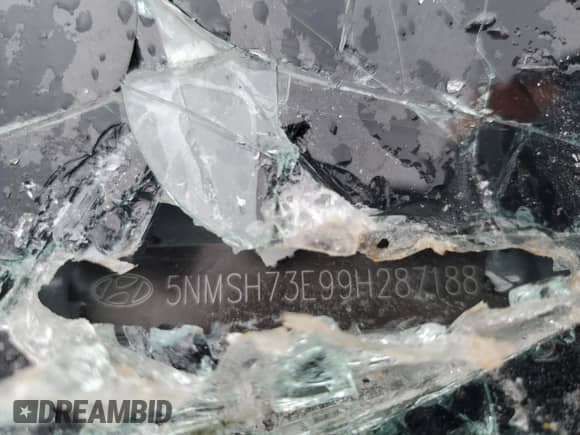 2009 Hyundai Santa Fe Limited z VIN 5NMSH73E99H287188, wystawiony jako Copart lot #65594405 z przebiegiem 66 784 mil mil oraz Szkoda całkowita • Salvage title. Historia ofert i sprzedaży dostępna na DreamBid. Obrazek 14.