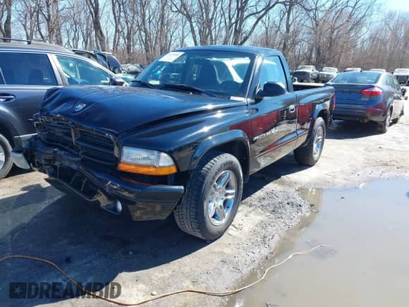 2002 Dodge Dakota with VIN 1B7FL36Z12S658751, listed as a IAAI auction lot 41678588 with 47,685 mi miles and . Bid and sale history available at DreamBid. Image 2.