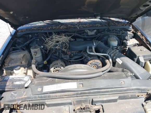 2002 Chevrolet Blazer LS с VIN 1GNCS18W72K226413, выставлен на аукционе IAAI как лот 41982103 с пробегом 133 127 миль миль и . История ставок и продаж доступна на DreamBid. Изображение 10.