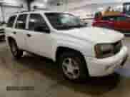 2008 Chevrolet TrailBlazer 1LT с VIN 1GNDT13S182240189, выставлен на аукционе Copart как лот 66264545 с пробегом 185 180 миль миль и Списание • Salvage title. История ставок и продаж доступна на DreamBid. Изображение 4.