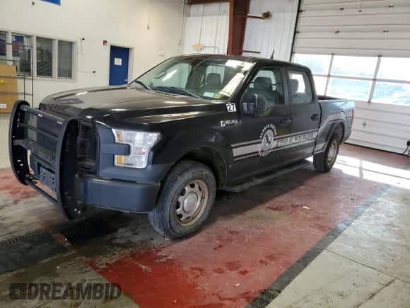 2017 Ford F-150 XL with VIN 1FTFW1EG4HFA88449, listed as a Copart auction lot 82377905 with 195,200 mi miles and Clean title. Bid and sale history available at DreamBid. Image 1.
