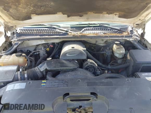 2004 Chevrolet Silverado 1500 LT с VIN 1GCEC19T24E317822, выставлен на аукционе IAAI как лот 43417064 с пробегом 305 118 миль миль и . История ставок и продаж доступна на DreamBid. Изображение 10.