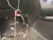 2008 Hyundai Tiburon GS с VIN KMHHM66D58U279806, выставлен на аукционе IAAI как лот 41251941 с пробегом 67 550 миль миль и . История ставок и продаж доступна на DreamBid. Изображение 11.