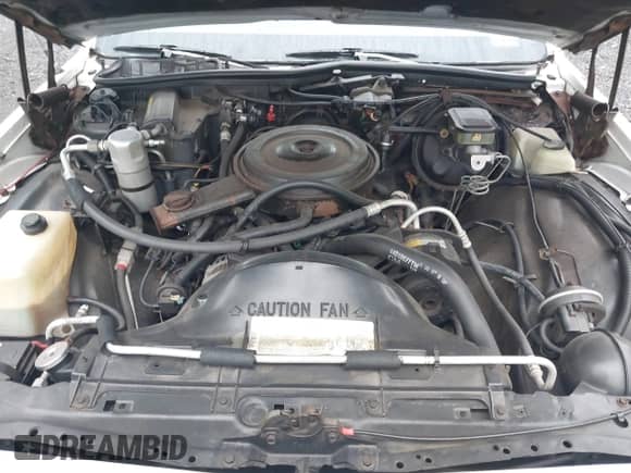 1988 Chevrolet Caprice Classic с VIN 1G1BN51H5JA131618, выставлен на аукционе IAAI как лот 42495791 с пробегом 128 161 миль миль и . История ставок и продаж доступна на DreamBid. Изображение 10.
