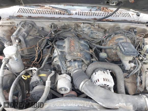 1994 Chevrolet Blazer LT z VIN 1GNDT13W5R2170250, wystawiony jako IAAI lot #42779147 z przebiegiem 115 954 mil mil oraz . Historia ofert i sprzedaży dostępna na DreamBid. Obrazek 10.