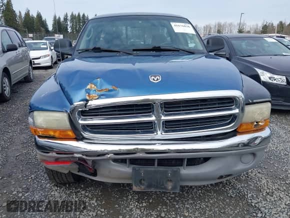 2001 Dodge Dakota Sport with VIN 1B7GL22N61S345811, listed as a IAAI auction lot 41676836 with 189,484 mi miles and . Bid and sale history available at DreamBid. Image 6.