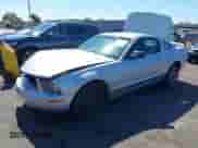 2005 Ford Mustang Deluxe with VIN 1ZVFT80N355140286, listed as a IAAI auction lot 41538559 with 167,705 mi miles and . Bid and sale history available at DreamBid. Image 2.