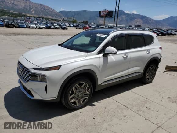 2021 Hyundai Santa Fe Limited with VIN 5NMS4DAL7MH308642, listed as a Copart auction lot 65938585 with 24,372 mi miles and Salvage title. Bid and sale history available at DreamBid. Image 1.