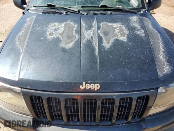 1999 Jeep Grand Cherokee Limited с VIN 1J4GW68N4XC736393, выставлен на аукционе Copart как лот 68119615 с пробегом Не указан миль и Чистый • Clean title. История ставок и продаж доступна на DreamBid. Изображение 11.