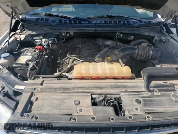 2018 Ford F-150 XL z VIN 1FTEW1C57JKE52146, wystawiony jako Copart lot #84699605 z przebiegiem 223 113 mil mil oraz Czysty tytuł • Clean title. Historia ofert i sprzedaży dostępna na DreamBid. Obrazek 11.