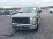 2010 Ford F-150 XL with VIN 1FTEX1C81AFC76209, listed as a IAAI auction lot 43378453 with 116,955 mi miles and . Bid and sale history available at DreamBid. Image 11.