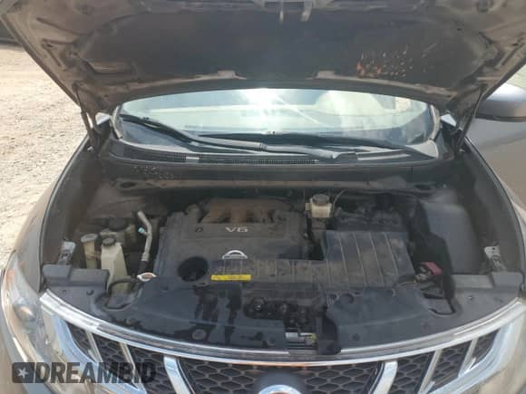2013 Nissan Murano S с VIN JN8AZ1MU9DW208625, выставлен на аукционе Copart как лот 68353985 с пробегом 142 024 миль миль и Чистый • Clean title. История ставок и продаж доступна на DreamBid. Изображение 12.