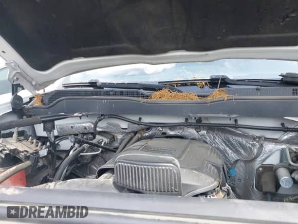 2018 Chevrolet Silverado 2500HD Work Truck with VIN 1GC1CUEG5JF171088, listed as a IAAI auction lot 42101904 with Not provided miles and . Bid and sale history available at DreamBid. Image 10.