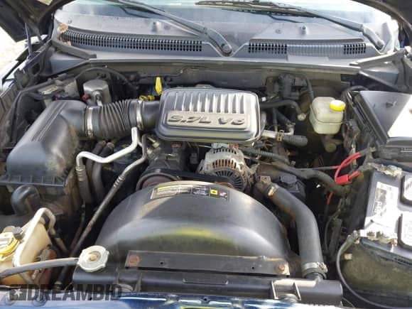 2005 Dodge Dakota ST with VIN 1D7HW22K05S250285, listed as a IAAI auction lot 43363355 with Not provided miles and . Bid and sale history available at DreamBid. Image 10.
