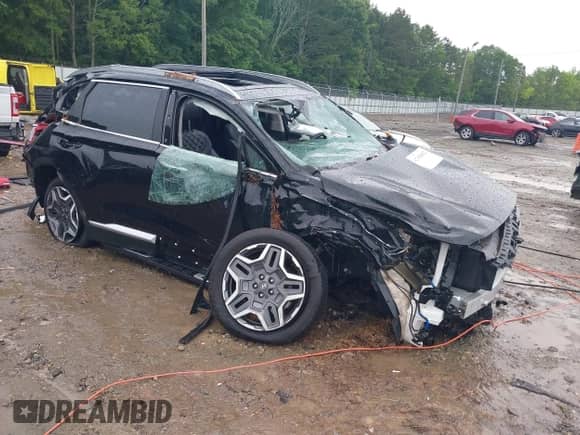 2022 Hyundai Santa Fe SEL Premium with VIN KM8S3DA14NU039751, listed as a IAAI auction lot 42383882 with 19,388 mi miles and . Bid and sale history available at DreamBid. Image 1.