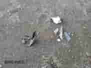 2021 Kia Sorento SX Prestige X-Line with VIN 5XYRKDLF9MG052669, listed as a Copart auction lot 83932615 with 49,464 mi miles and Salvage title. Bid and sale history available at DreamBid. Image 13.