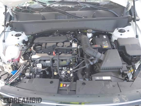 2025 Hyundai Kona N Line S с VIN KM8HB3A34SU245771, выставлен на аукционе IAAI как лот 42367412 с пробегом 3 467 миль миль и . История ставок и продаж доступна на DreamBid. Изображение 10.