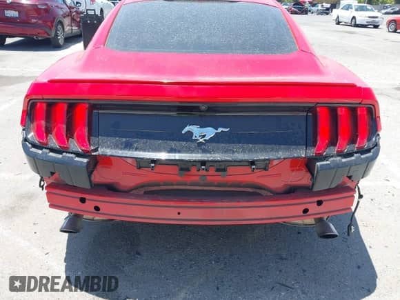 2023 Ford Mustang EcoBoost с VIN 1FA6P8TH2P5109651, выставлен на аукционе IAAI как лот 42519302 с пробегом 33 575 миль миль и . История ставок и продаж доступна на DreamBid. Изображение 19.