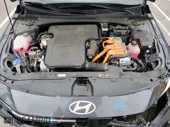 2024 Hyundai Elantra Limited with VIN KMHLN4DJ2RU106086, listed as a Copart auction lot 81509095 with 37,393 mi miles and Salvage title. Bid and sale history available at DreamBid. Image 11.