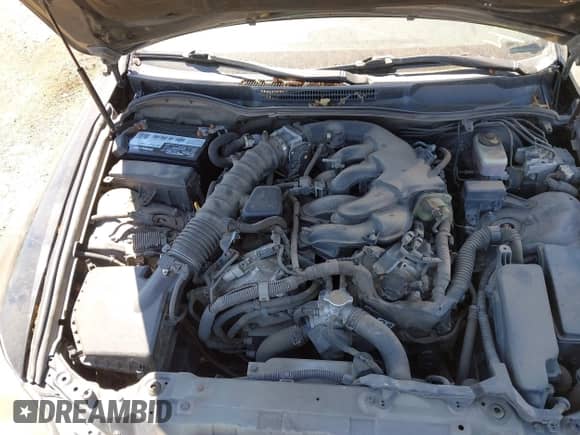 2006 Lexus IS 250 с VIN JTHCK262365000600, выставлен на аукционе IAAI как лот 42927424 с пробегом 283 761 миль миль и . История ставок и продаж доступна на DreamBid. Изображение 10.