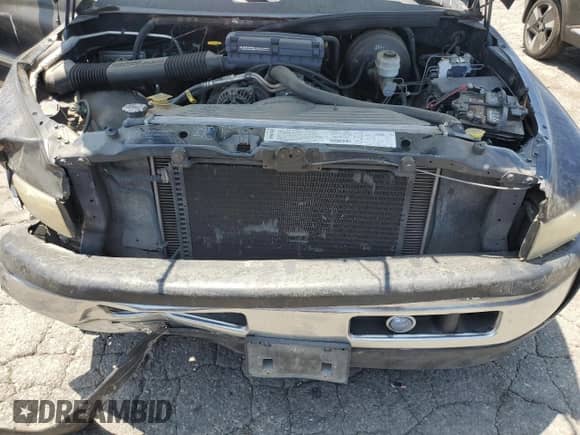 2000 Dodge 1500 with VIN 3B7HC13Y6YG100046, listed as a Copart auction lot 65540135 with 344,897 mi miles and Salvage title. Bid and sale history available at DreamBid. Image 11.