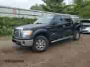 2011 Ford F-150 XLT z VIN 1FTFW1ET0BFB01508, wystawiony jako Copart lot #81420595 z przebiegiem 314 064 mil mil oraz Czysty tytuł • Clean title. Historia ofert i sprzedaży dostępna na DreamBid. Obrazek 1.