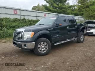 2011 Ford F-150 XLT z VIN 1FTFW1ET0BFB01508, wystawiony jako Copart lot #81420595 z przebiegiem 314 064 mil mil oraz Czysty tytuł • Clean title. Historia ofert i sprzedaży dostępna na DreamBid. Obrazek 1.