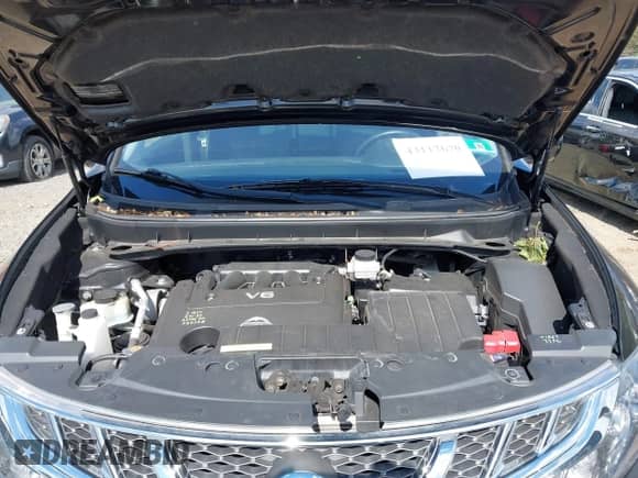 2014 Nissan Murano SL с VIN JN8AZ1MW8EW528957, выставлен на аукционе IAAI как лот 43117670 с пробегом 53 279 миль миль и . История ставок и продаж доступна на DreamBid. Изображение 10.