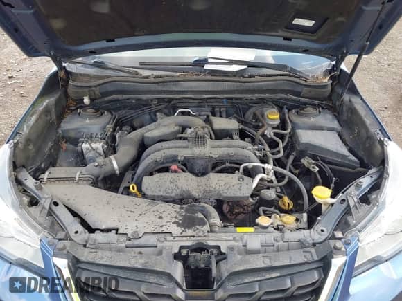 2017 Subaru Forester with VIN JF2SJAAC2HG590985, listed as a IAAI auction lot 42925240 with 96,666 mi miles and . Bid and sale history available at DreamBid. Image 10.