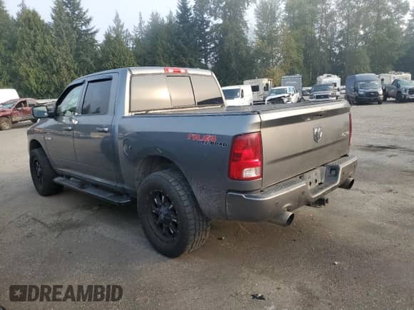 2009 Dodge 1500 SLT with VIN 1D3HV13T79S789918, listed as a Copart auction lot 81775385 with 300,326 mi miles and Salvage title. Bid and sale history available at DreamBid. Image 2.