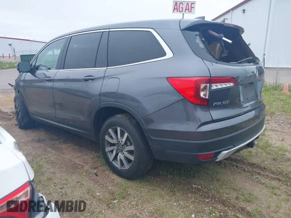 2019 Honda Pilot EX-L с VIN 5FNYF6H47KB092272, выставлен на аукционе IAAI как лот 42598672 с пробегом 83 802 миль миль и . История ставок и продаж доступна на DreamBid. Изображение 3.