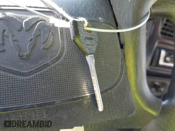 1998 Dodge Dakota SLT z VIN 1B7FL26XXWS716967, wystawiony jako IAAI lot #41492594 z przebiegiem 189 176 mil mil oraz . Historia ofert i sprzedaży dostępna na DreamBid. Obrazek 11.