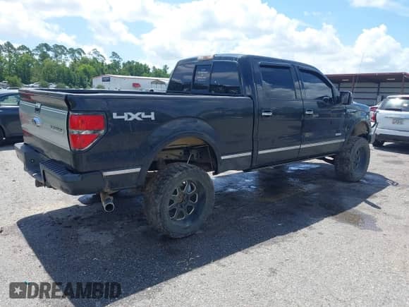 2013 Ford F-150 XL with VIN 1FTFW1ETXDFC19553, listed as a IAAI auction lot 42750635 with 280,079 mi miles and . Bid and sale history available at DreamBid. Image 4.