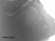 2016 Chevrolet Malibu LT с VIN 1G1ZF5SX6GF347524, выставлен на аукционе IAAI как лот 42692474 с пробегом 152 783 миль миль и . История ставок и продаж доступна на DreamBid. Изображение 8.