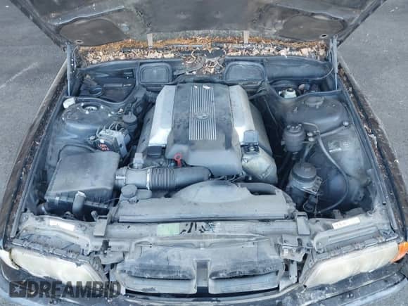 2001 BMW 7 Series 740i with VIN WBAGG83491DN82744, listed as a IAAI auction lot 43140396 with 173,296 mi miles and . Bid and sale history available at DreamBid. Image 10.