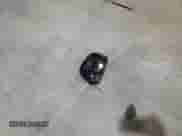 2010 Subaru Forester X with VIN JF2SH6BC3AH780205, listed as a Copart auction lot 85711515 with 169,165 mi miles and Salvage title. Bid and sale history available at DreamBid. Image 13.