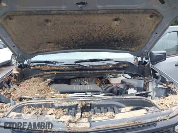 2024 Chevrolet Silverado 1500 Custom Trail Boss z VIN 3GCPDCEK2RG197468, wystawiony jako IAAI lot #42285969 z przebiegiem Nie podano mil oraz . Historia ofert i sprzedaży dostępna na DreamBid. Obrazek 10.