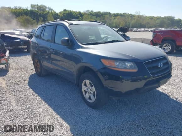 2009 Hyundai Santa Fe GLS с VIN 5NMSG13D29H317767, выставлен на аукционе IAAI как лот 43232056 с пробегом 192 378 миль миль и . История ставок и продаж доступна на DreamBid. Изображение 1.