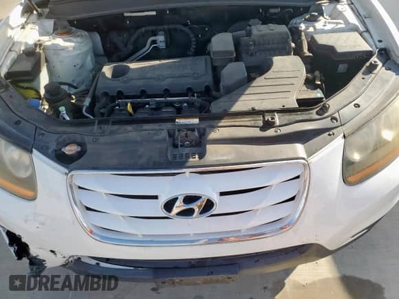 2010 Hyundai Santa Fe GLS z VIN 5NMSG3AB8AH392717, wystawiony jako Copart lot #81711175 z przebiegiem 171 345 mil mil oraz Szkoda całkowita • Salvage title. Historia ofert i sprzedaży dostępna na DreamBid. Obrazek 11.