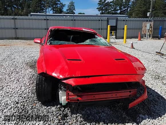 2019 Ford Mustang GT z VIN 1FA6P8CF0K5156927, wystawiony jako Copart lot #84562345 z przebiegiem Nie podano mil oraz Nie do naprawy • Non repairable. Historia ofert i sprzedaży dostępna na DreamBid. Obrazek 13.