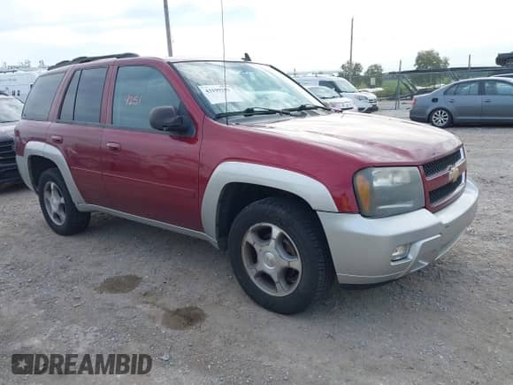 2008 Chevrolet TrailBlazer Fleet 2FL with VIN 1GNDT13S782255134, listed as a IAAI auction lot 43199251 with 252,811 mi miles and . Bid and sale history available at DreamBid. Image 1.