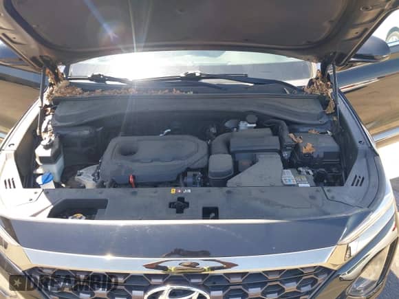 2019 Hyundai Santa Fe SEL with VIN 5NMS3CADXKH041516, listed as a IAAI auction lot 42229049 with 51,673 mi miles and . Bid and sale history available at DreamBid. Image 10.