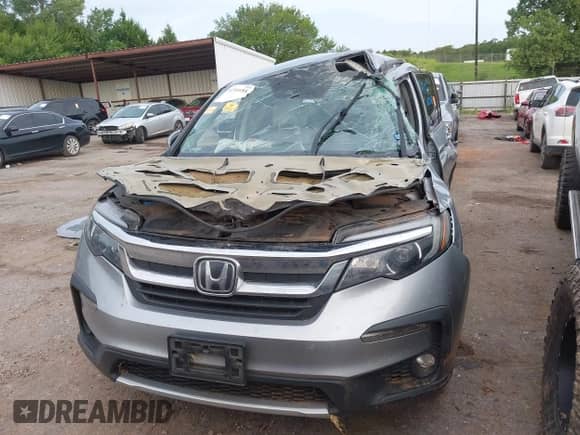 2019 Honda Pilot EX-L with VIN 5FNYF5H50KB025287, listed as a IAAI auction lot 42741655 with Not provided miles and . Bid and sale history available at DreamBid. Image 13.